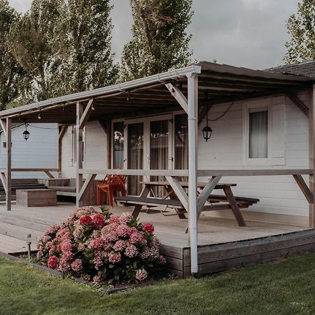Chalet Tulpenweide - Recreatie Breezand Εξωτερικό φωτογραφία