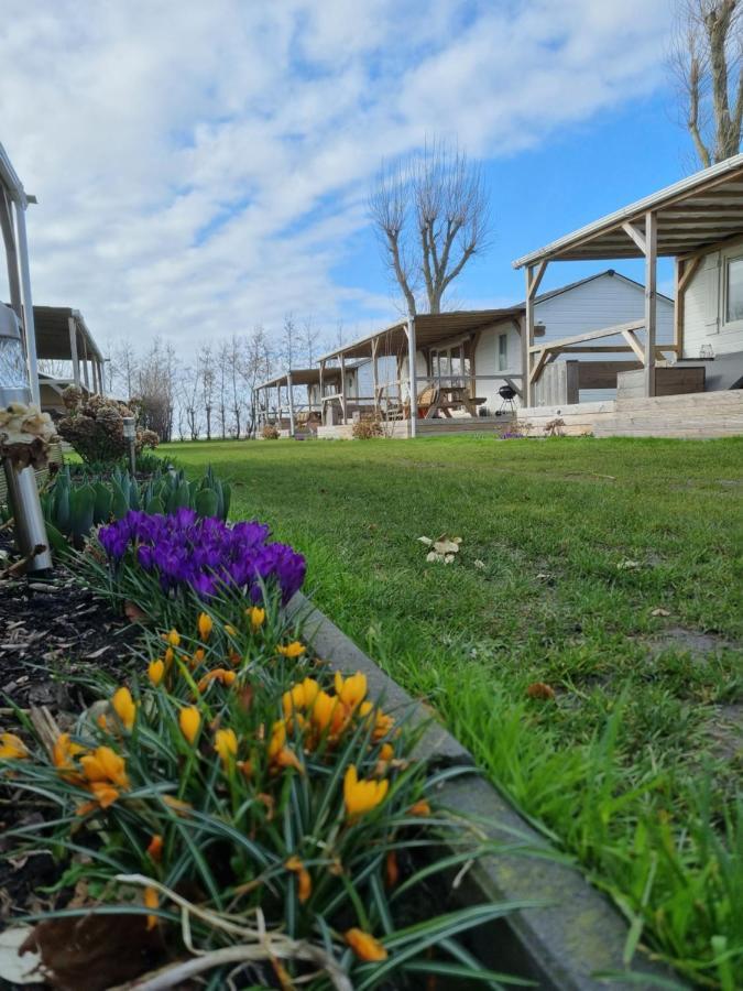Chalet Tulpenweide - Recreatie Breezand Εξωτερικό φωτογραφία