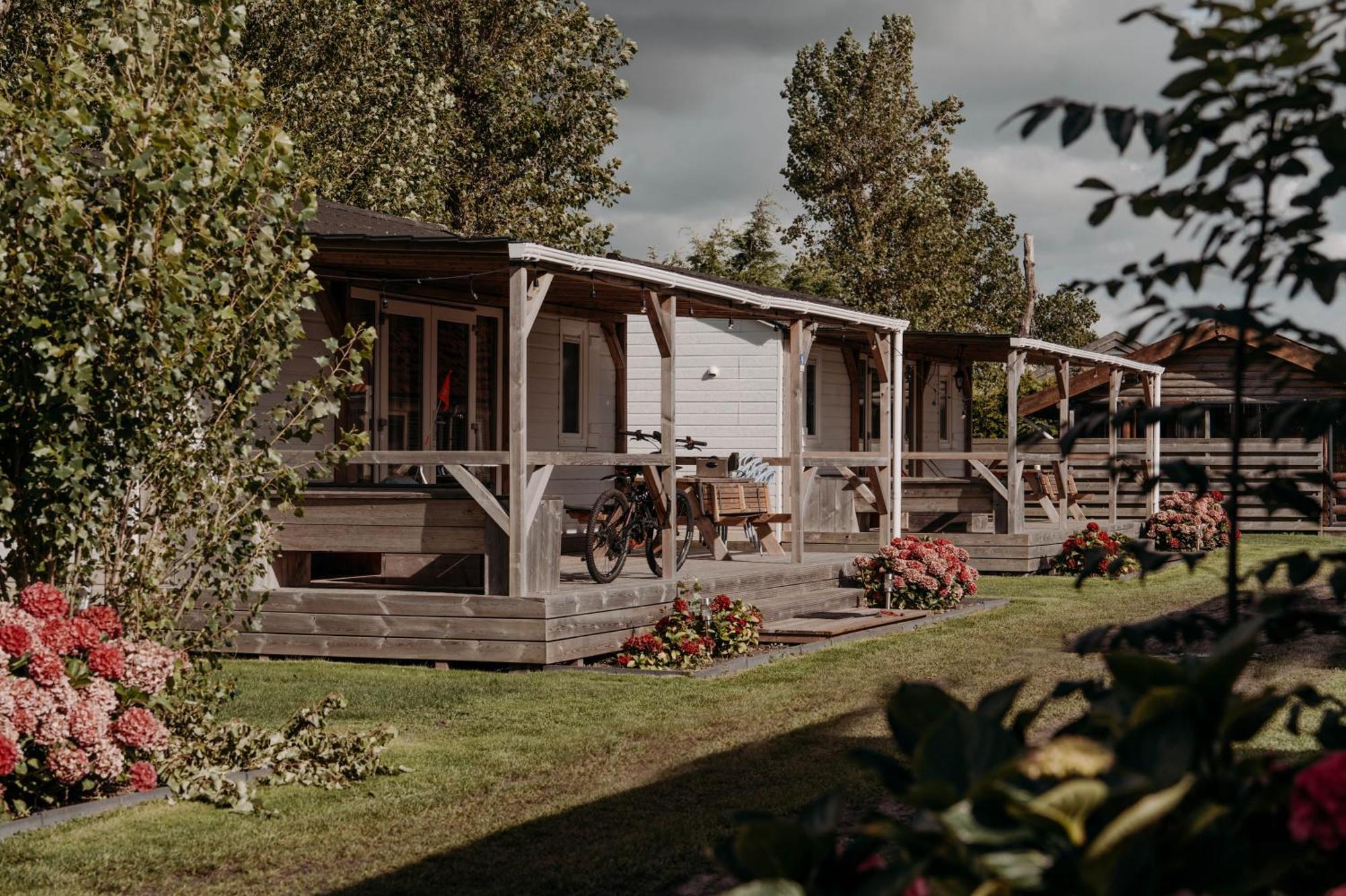 Chalet Tulpenweide - Recreatie Breezand Εξωτερικό φωτογραφία